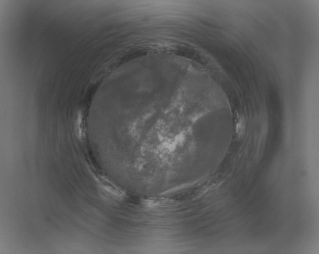 X0000073980819200609051908