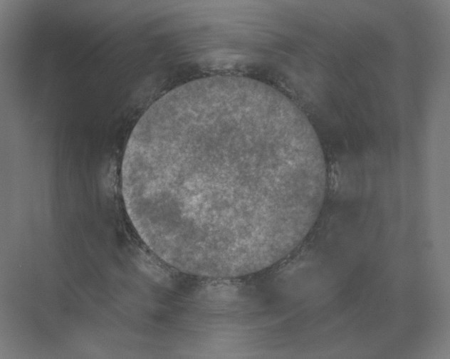 X0000073980820200609051908