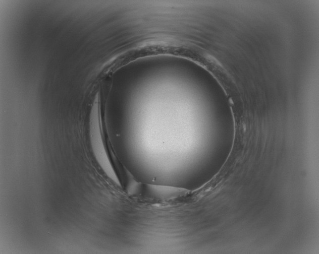 X0000073980822200609051908