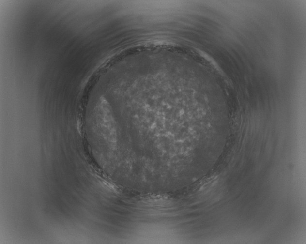 X0000073980823200609051909