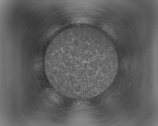 X0000073980824200609051909