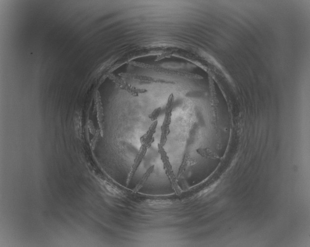 X0000073980825200609051909