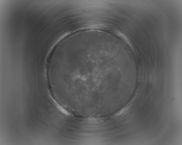 X0000073980827200609051909