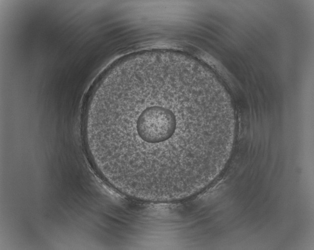 X0000073980828200609051909