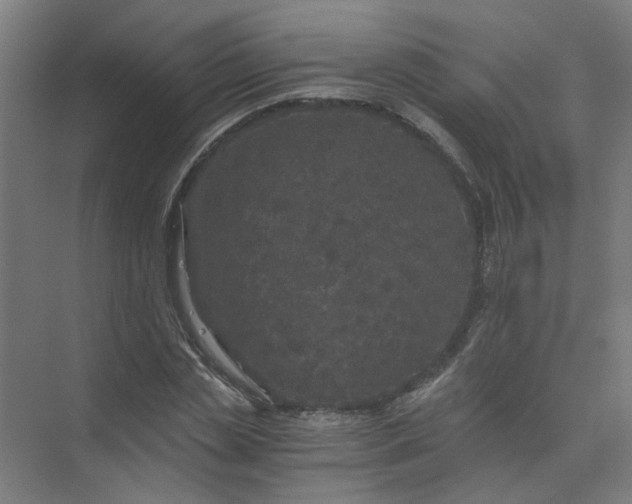 X0000073980829200609051909