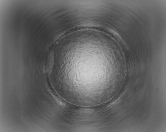 X0000073980833200609051909