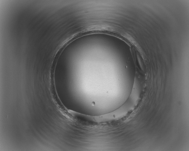 X0000073980834200609051909