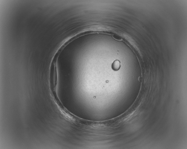 X0000073980837200609051909