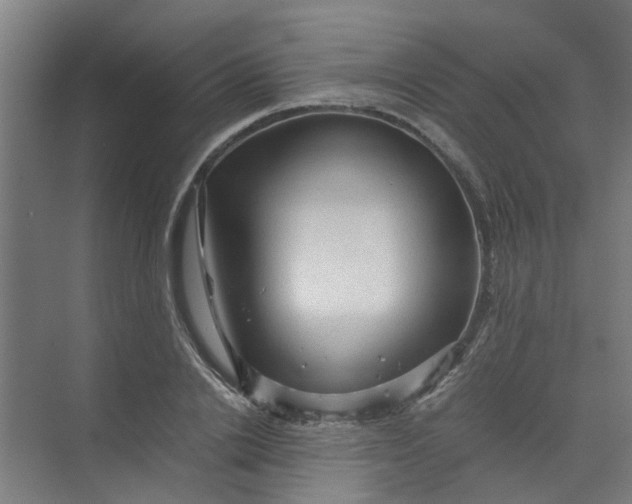 X0000073980838200609051909