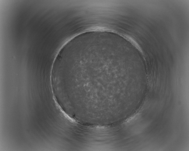 X0000073980839200609051909