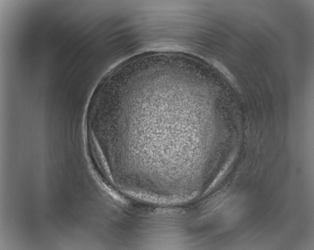 X0000073980840200609051909