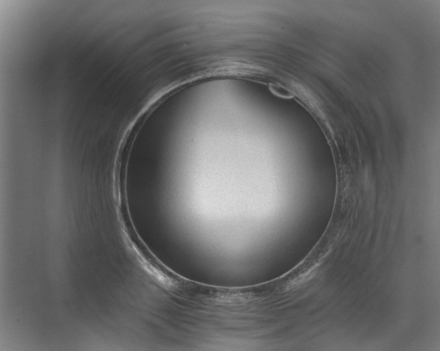 X0000073980843200609051909