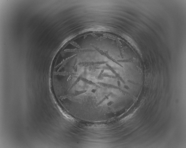 X0000073980845200609051909