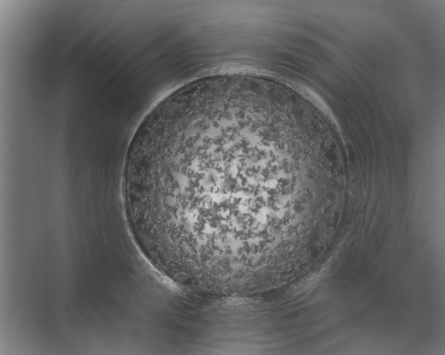 X0000073980847200609051909