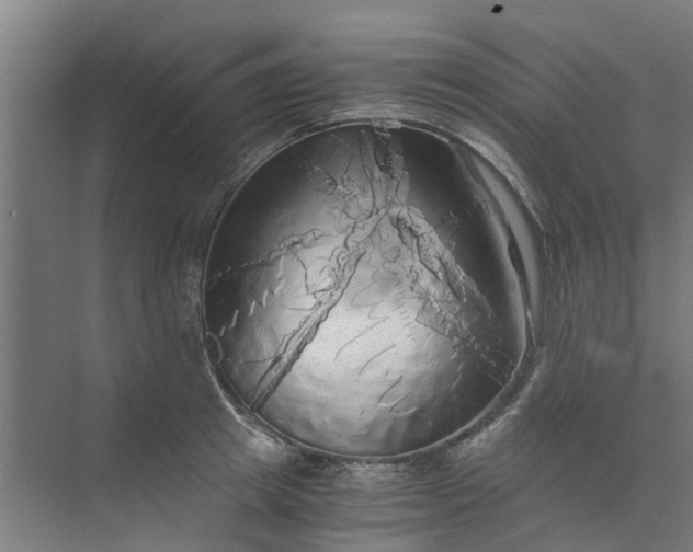 X0000073980849200609051909