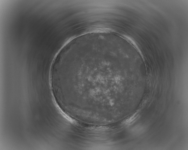 X0000073980851200609051909