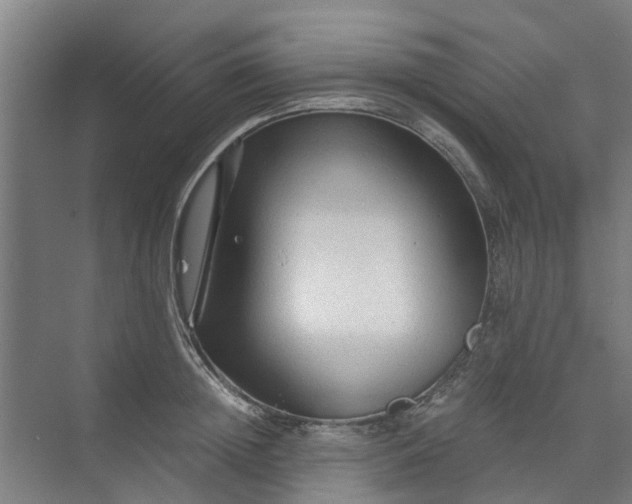 X0000073980852200609051909