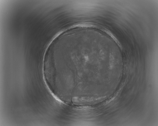 X0000073980853200609051909