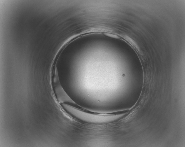 X0000073980854200609051909