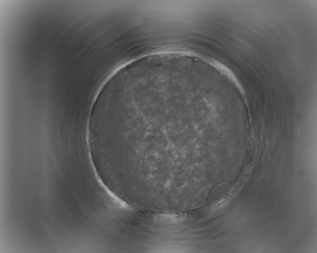 X0000073980855200609051909