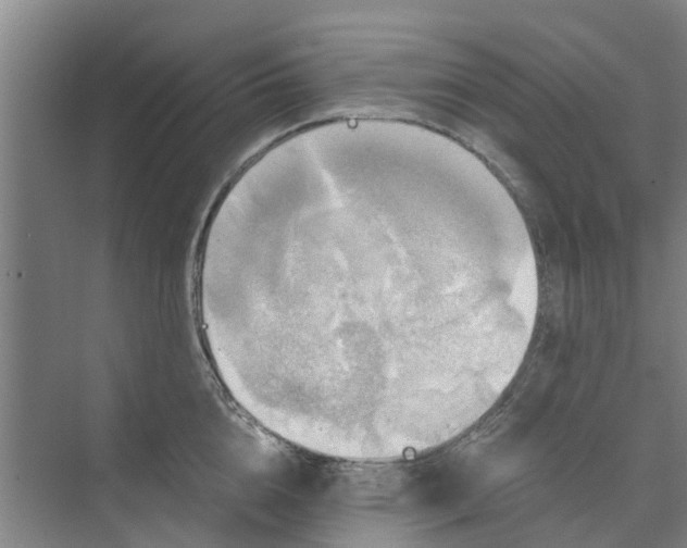 X0000073980856200609051909