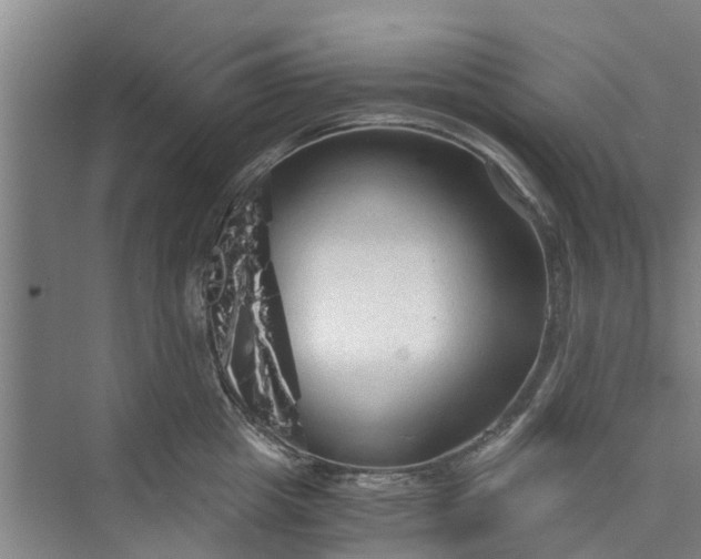 X0000073980857200609051909