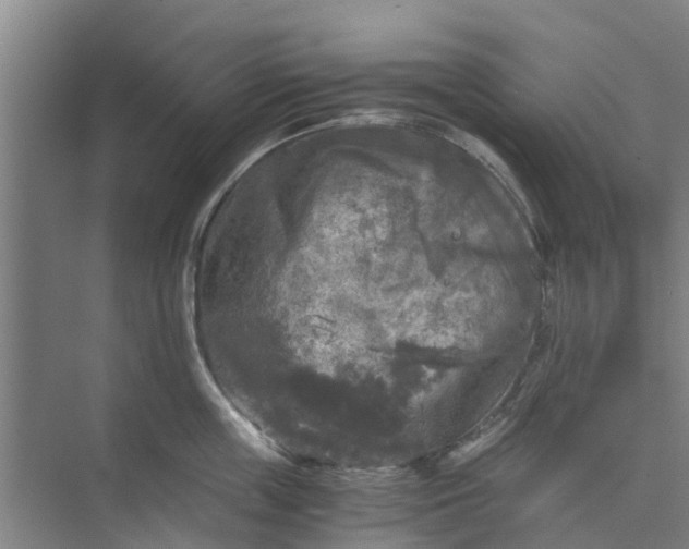 X0000073980859200609051909