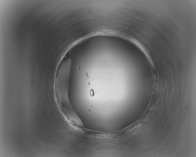 X0000073980861200609051909