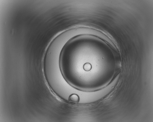 X0000073980862200609051909