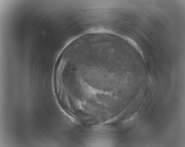 X0000073980863200609051909