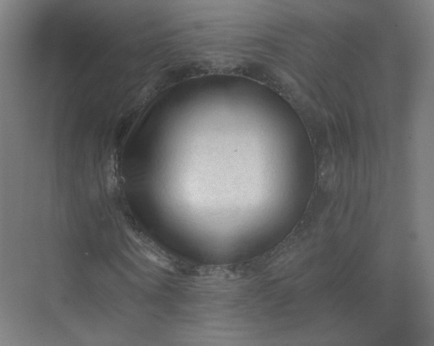 X0000073980866200609051908