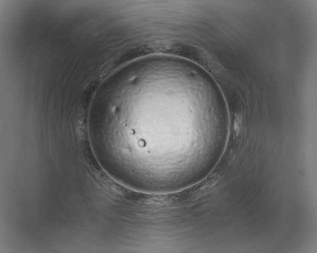 X0000073980867200609051908