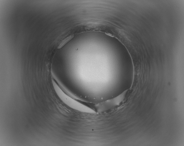 X0000073980868200609051908