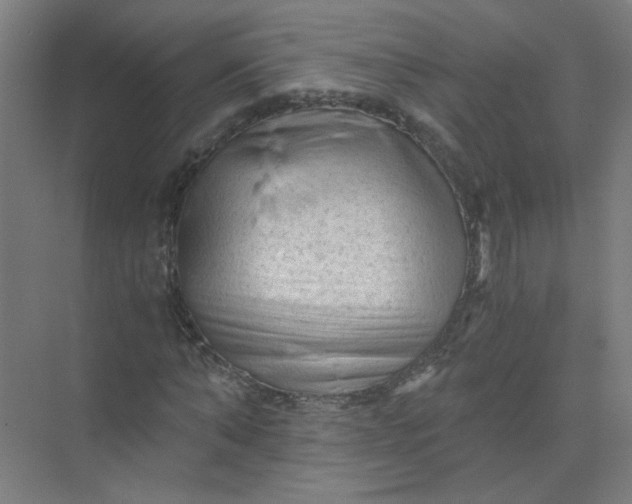 X0000073980870200609051908