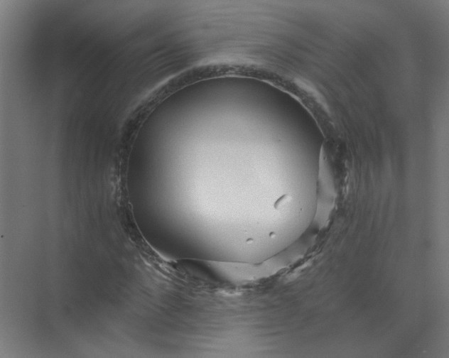 X0000073980872200609051908