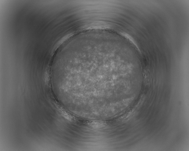 X0000073980874200609051908