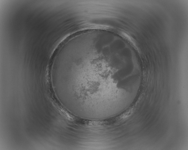 X0000073980875200609051908