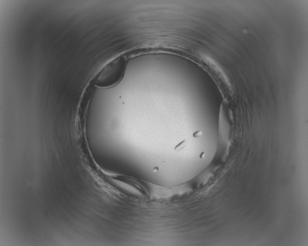 X0000073980876200609051908