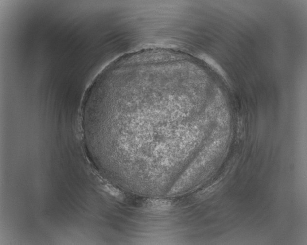 X0000073980878200609051908