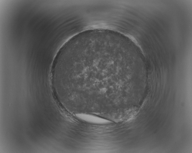 X0000073980879200609051908