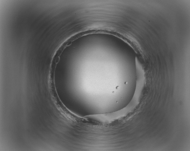 X0000073980880200609051908