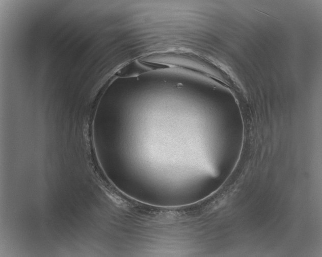 X0000073980881200609051908