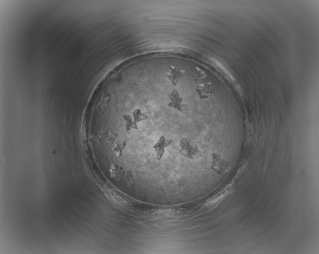 X0000073980883200609051908