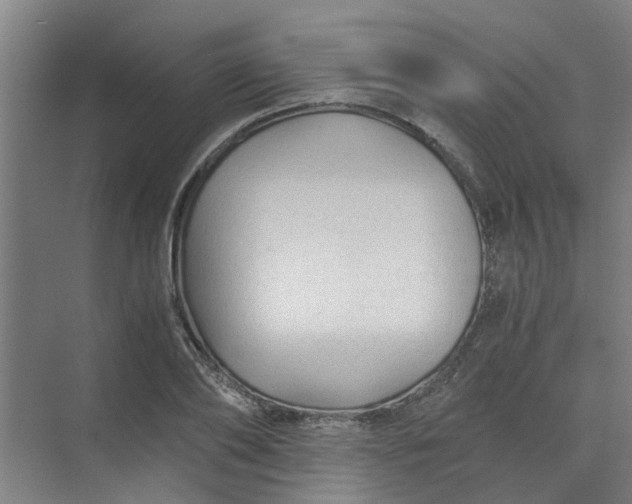 X0000073980886200609051908