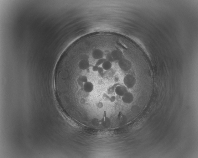 X0000073980887200609051908