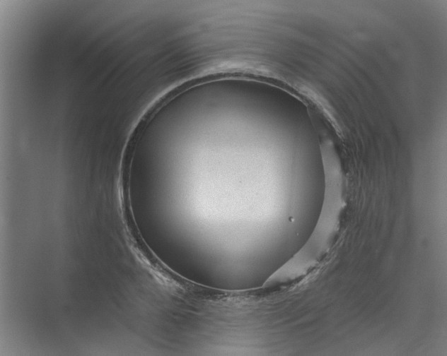 X0000073980888200609051908