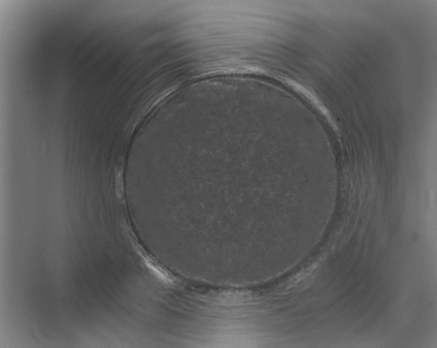 X0000073980889200609051908