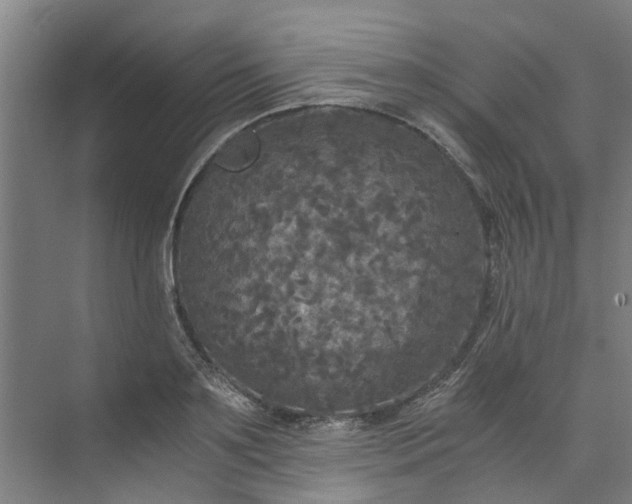 X0000073980891200609051908