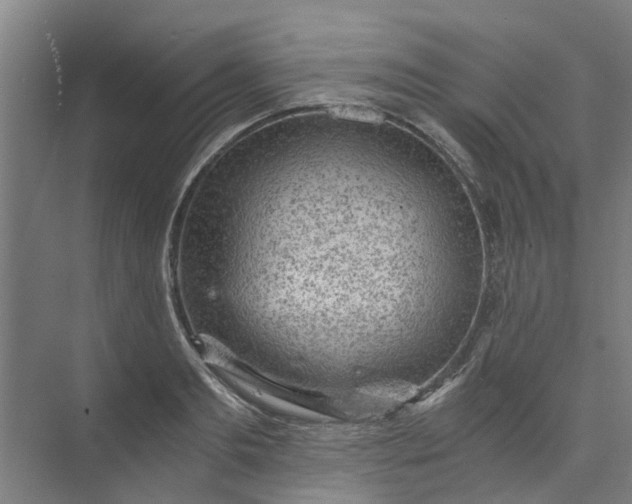 X0000073980893200609051908