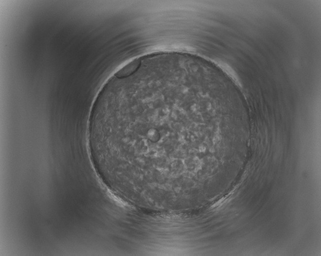 X0000073980895200609051908